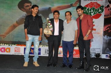 Basanti Movie Audio Launch